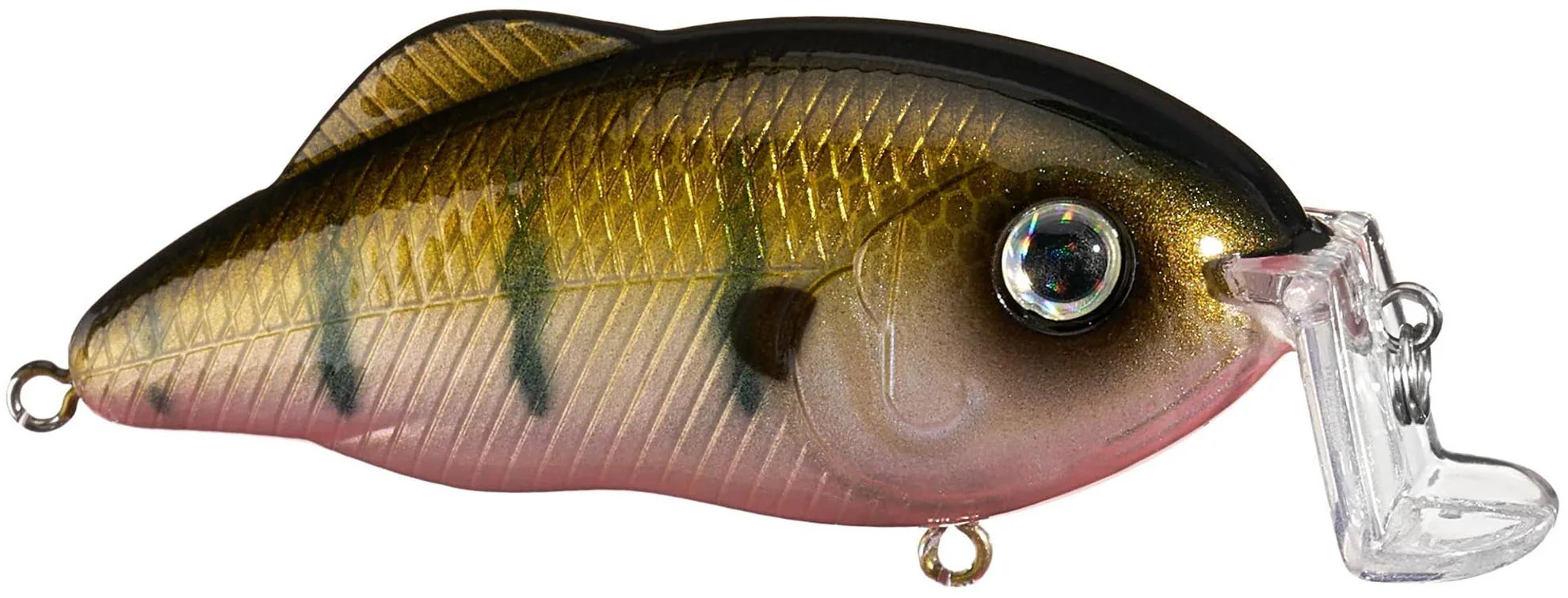 Strike King Hybrid Hunter Jr Shallow Crankbait - Image 10