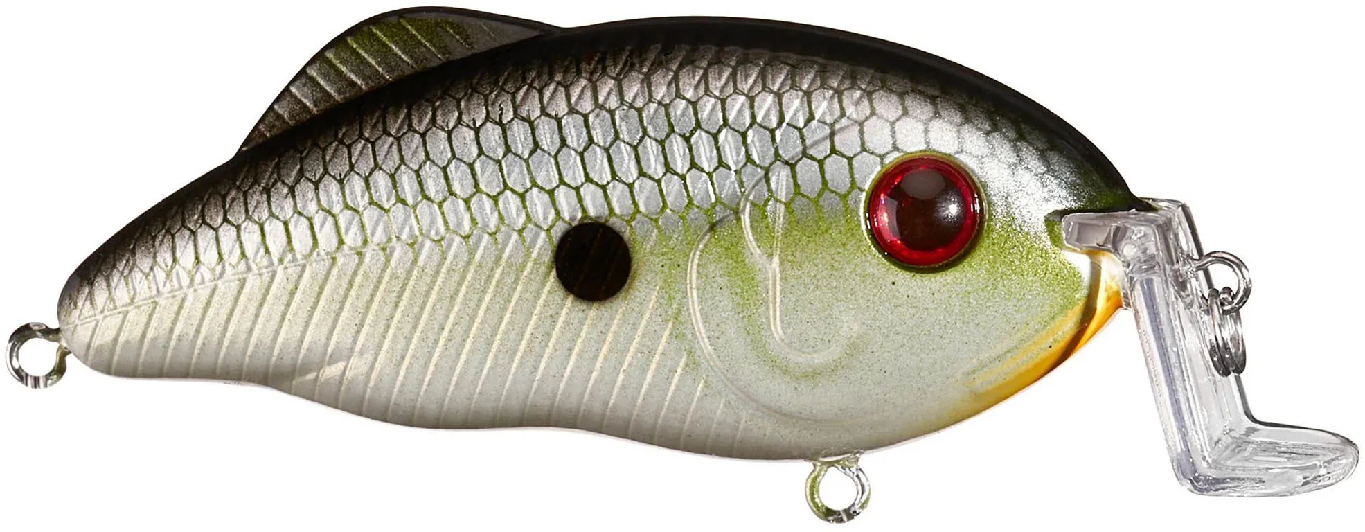 Strike King Hybrid Hunter Jr Shallow Crankbait - Image 16