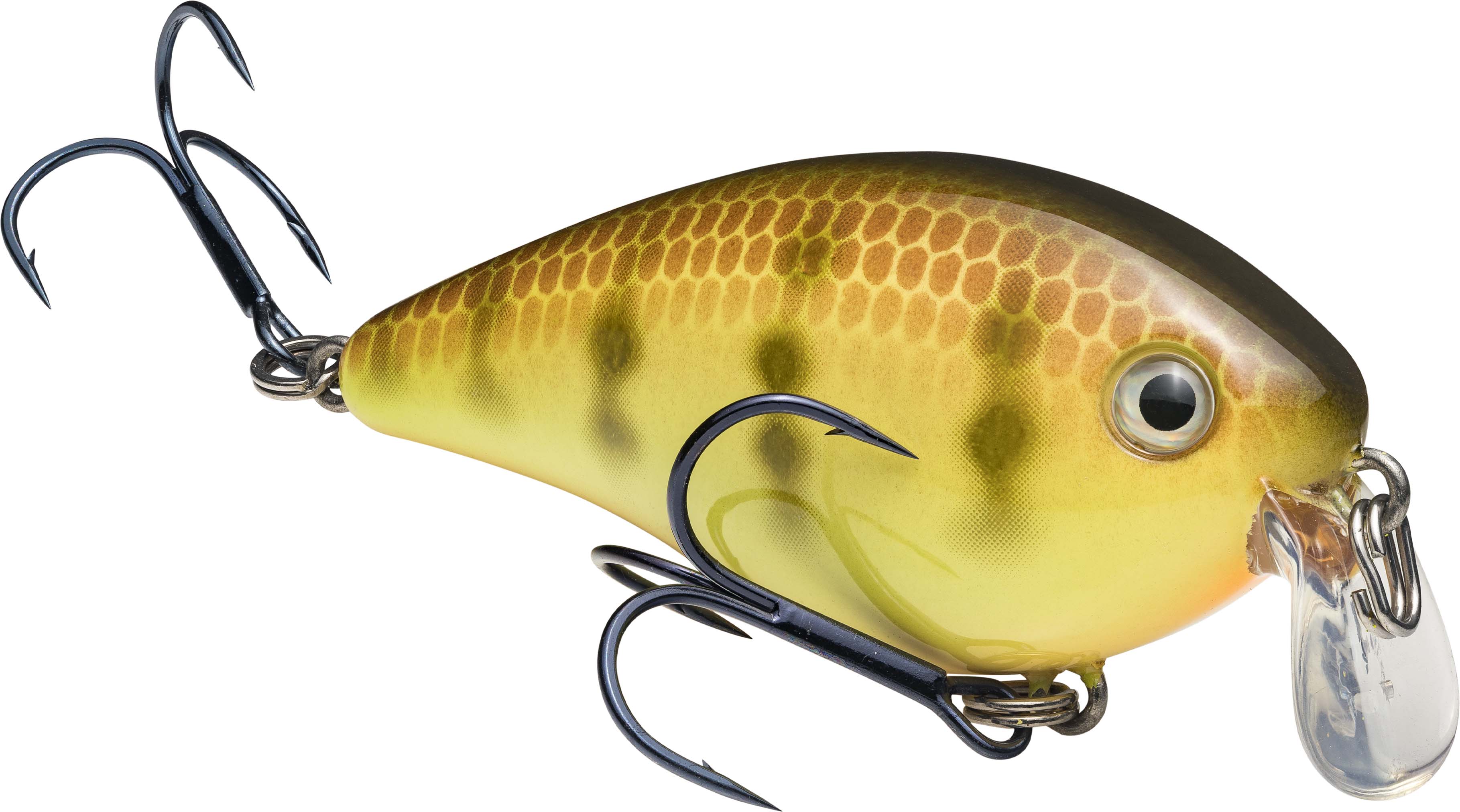 Strike King KVD Square Bill 1.5 Shallow Silent Crankbait - Image 2