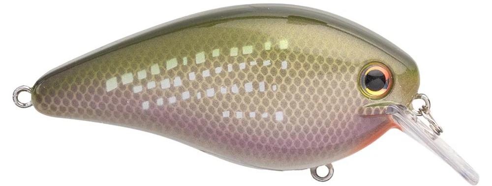 Strike King KVD Elite 2.5 Squarebill Crankbait - 2.75 Inch - Image 9