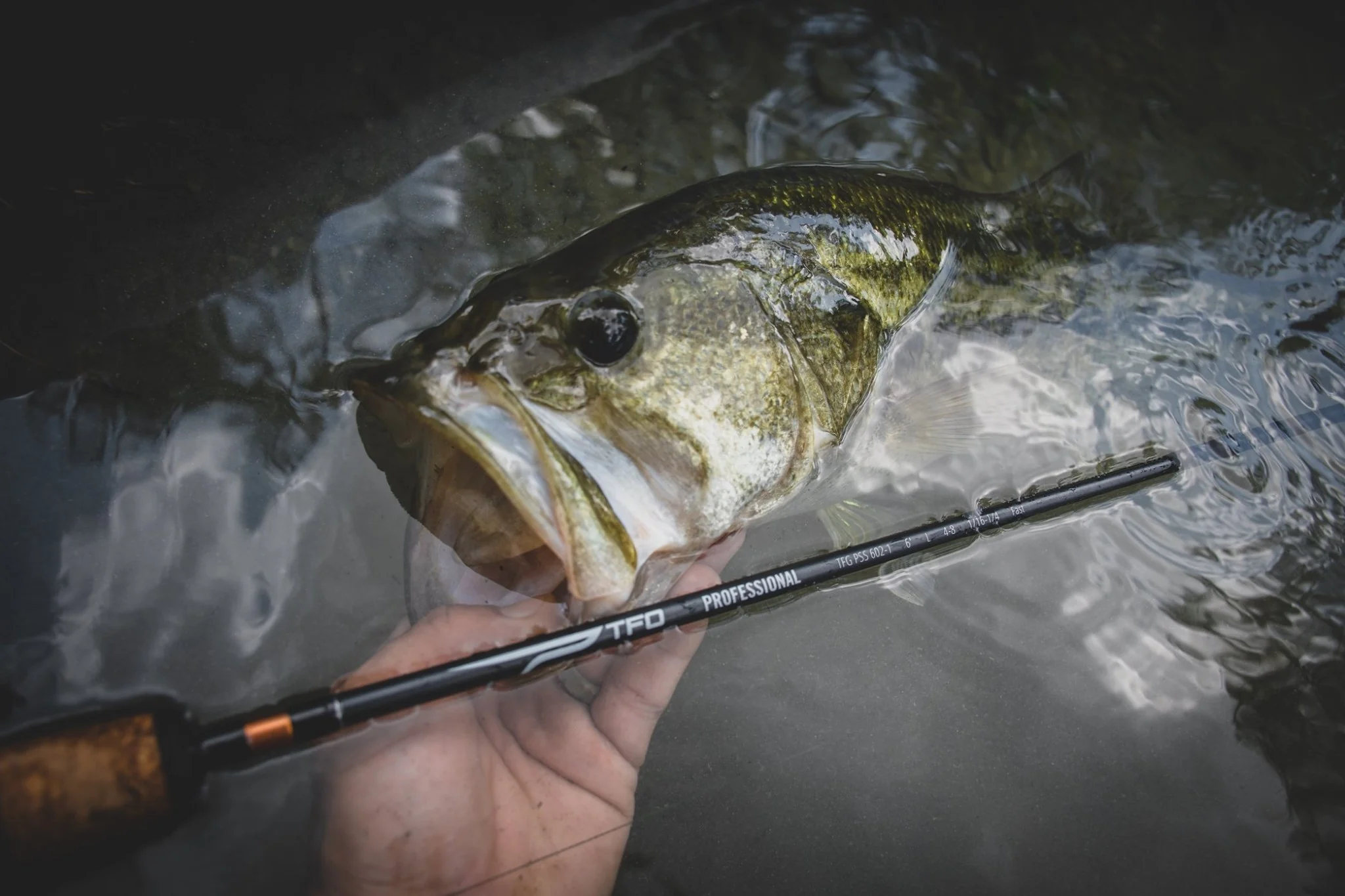 Temple Fork Outfitters Professional Spinning Rods - Image 8