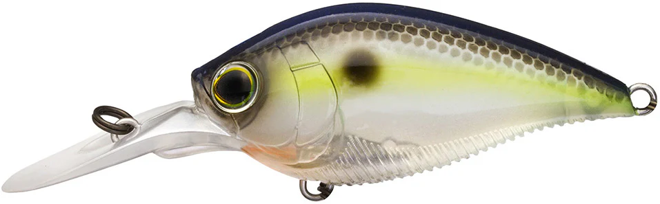 Yo-Zuri 3DB Crank 1.5 MR Medium Diving Crankbait - Image 29