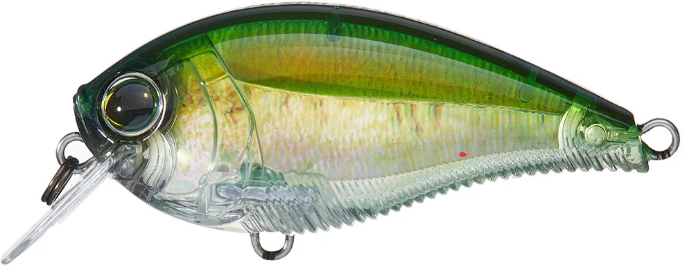 Yo-Zuri 3DB Crank 1.5 Shallow Squarebill Crankbait - Image 24