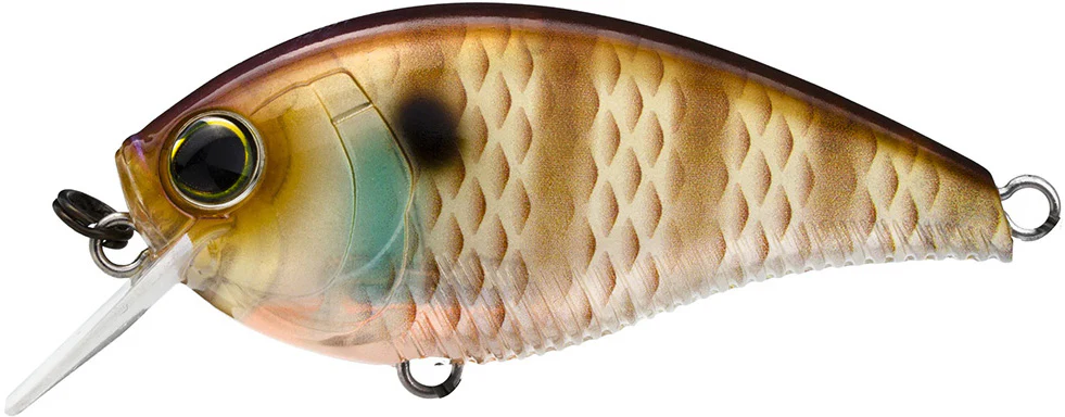 Yo-Zuri 3DB Crank 1.5 Shallow Squarebill Crankbait - Image 3