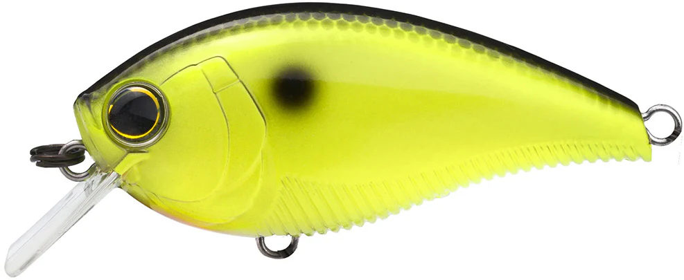 Yo-Zuri 3DB Crank 1.5 Shallow Squarebill Crankbait - Image 6