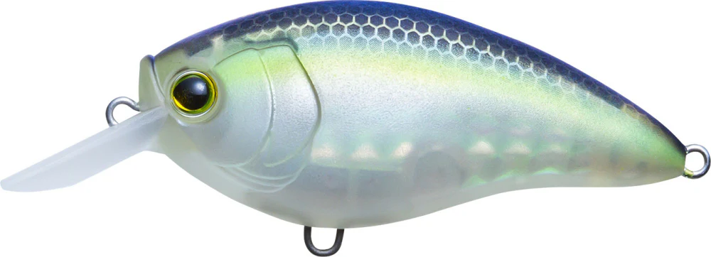 Yo-Zuri 3DR-X Shallow Runner SR Crankbait 50mm - 2 Inch - Image 10