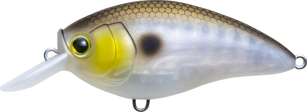 Yo-Zuri 3DR-X Shallow Runner SR Crankbait 50mm - 2 Inch - Image 11