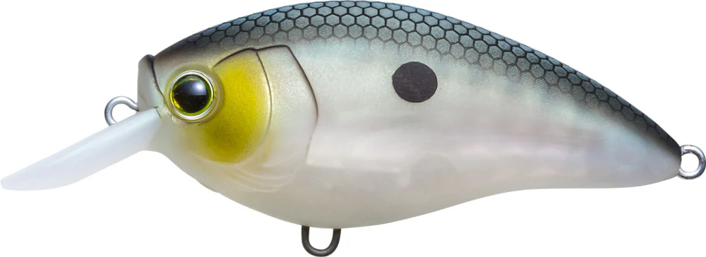 Yo-Zuri 3DR-X Shallow Runner SR Crankbait 50mm - 2 Inch - Image 12