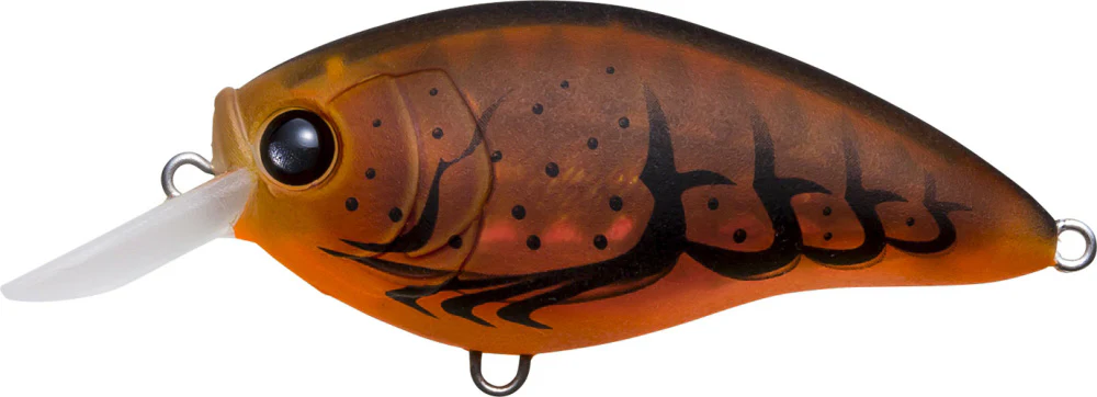 Yo-Zuri 3DR-X Shallow Runner SR Crankbait 50mm - 2 Inch - Image 13