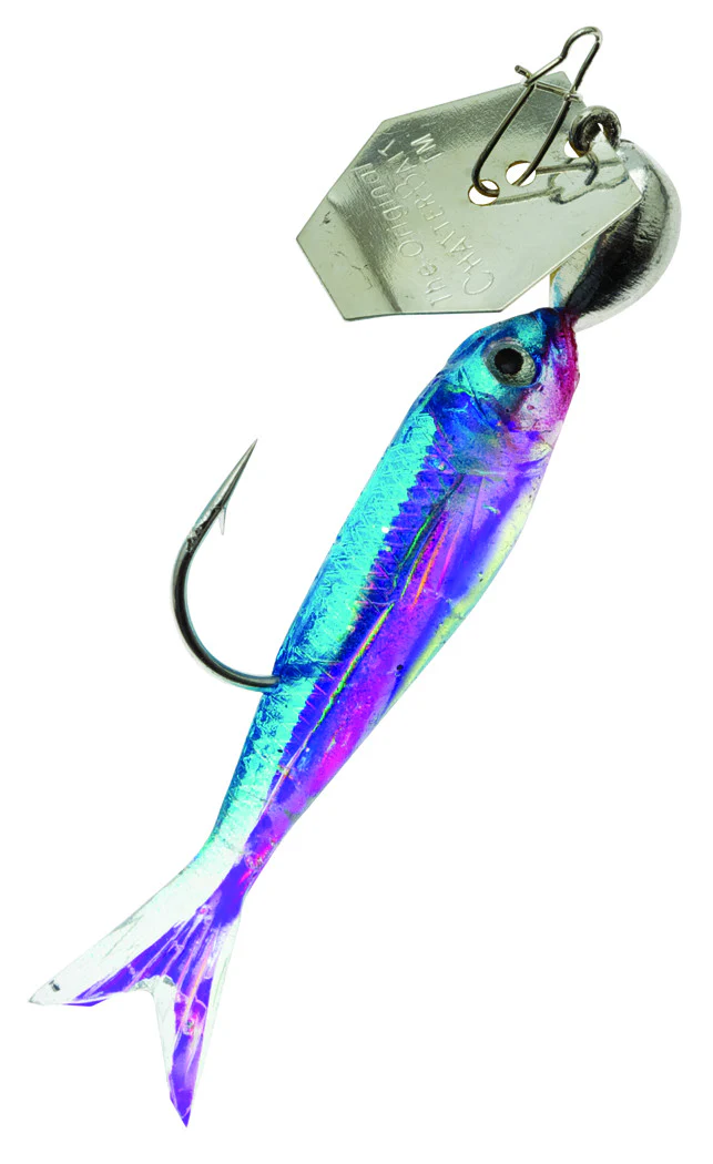 Z-Man ChatterBait FlashBack Mini - Image 11