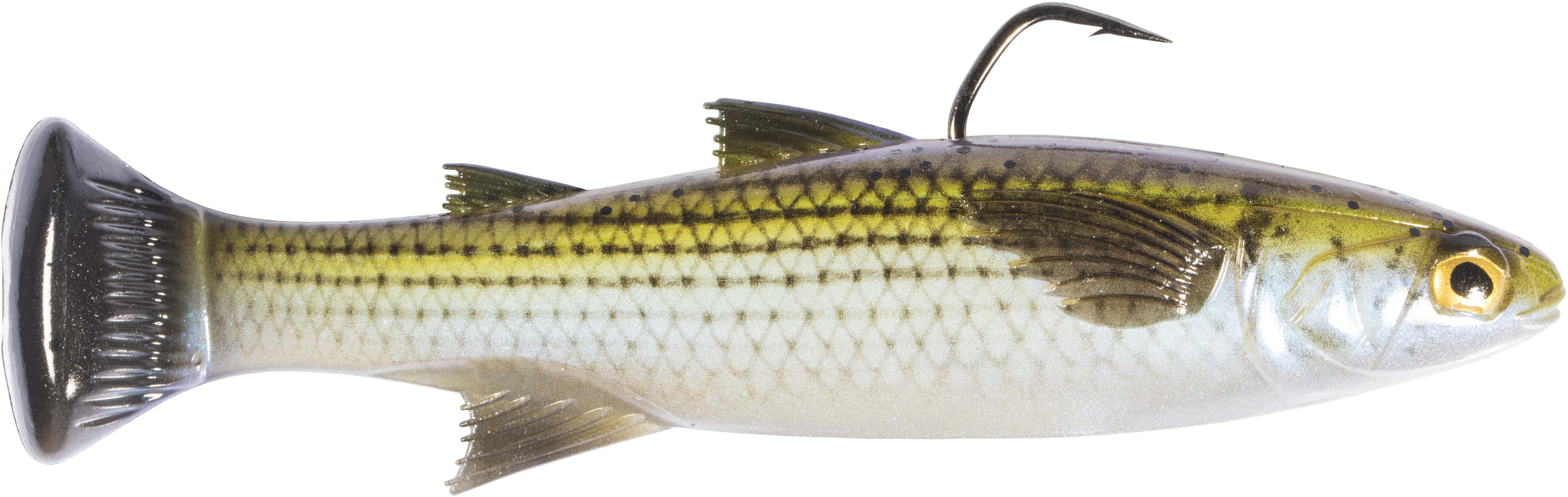 Z-Man Mulletron Line Through Moderate Sinking Swimbaits - Image 10